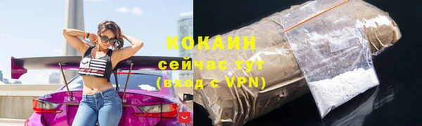 сатива Кинешма