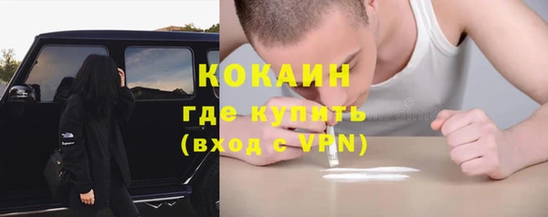 сатива Кинешма