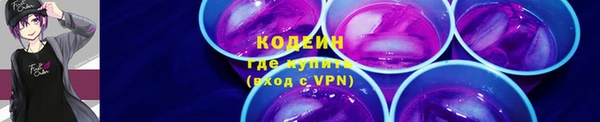 сатива Кинешма