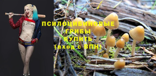 гашик Киреевск