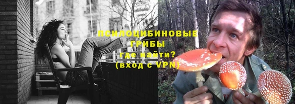 сатива Кинешма