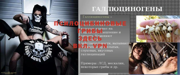 гашик Киреевск