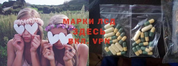 сатива Кинешма
